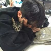 帅哥和猫咪的男生头像