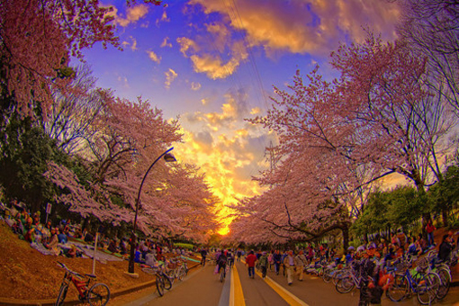 夕阳下的美丽城市风景图片