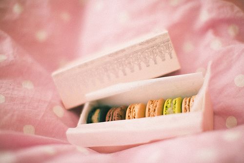 好看的小清新萌物图片