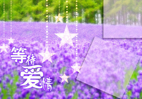 薰衣草花海唯美风景图片