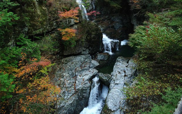 秋天黄叶和瀑布风景图片大全