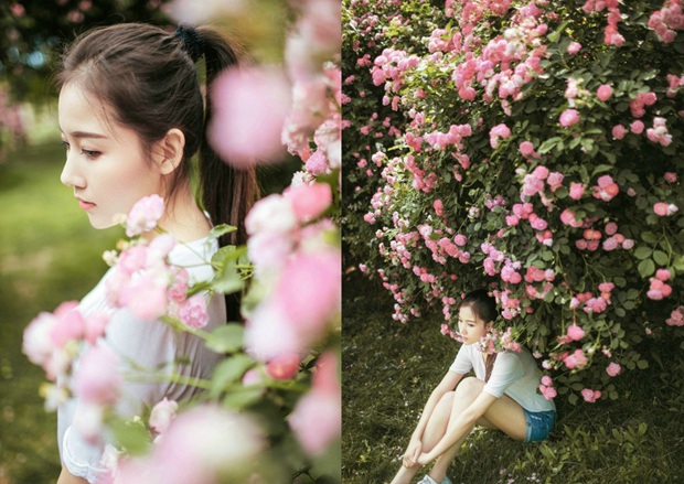 玫瑰花下的可爱女生图片照片