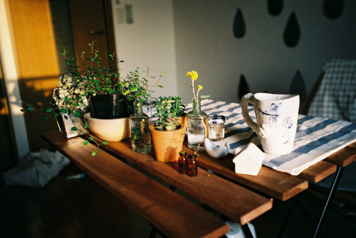 好看的安静文艺唯美图片