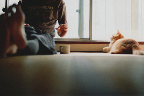 好看的安静文艺唯美图片