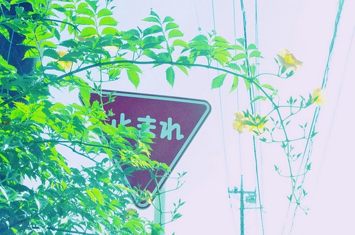 日系唯美图片