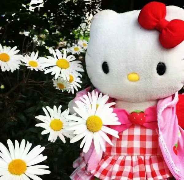 可爱美女HelloKitty猫玩具
