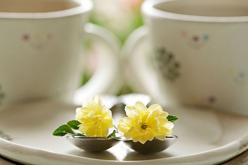 早安心语 早安图片大全(7)