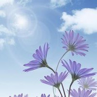 微信小清新花草头像