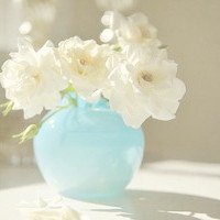 微信小清新花草头像