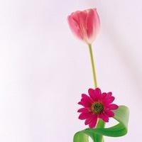 微信小清新花草头像