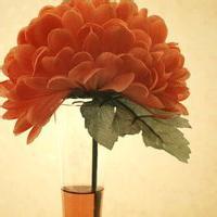 微信小清新花草头像