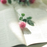 美丽的花朵qq头像
