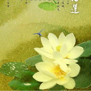 原生态荷花头像