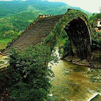 qq头像植物风景