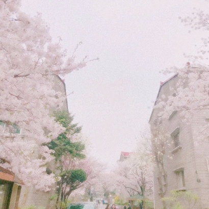 qq头像花朵图片