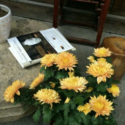 qq头像花朵图片