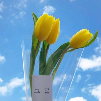 qq头像花朵图片