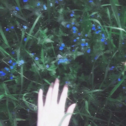 qq头像花朵图片