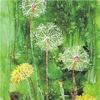 微信头像蒲公英图片