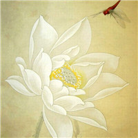 动漫荷花头像