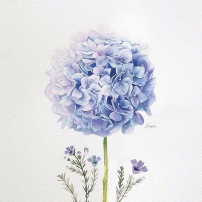 画的花头像图片大全