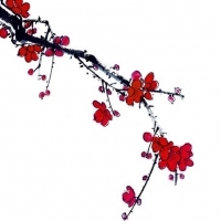 微信头像梅花图片大全