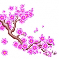 微信头像梅花图片大全