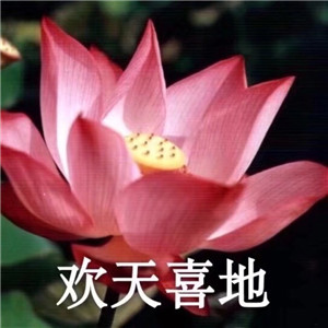 莲花微信头像图片大全