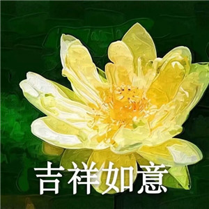 莲花微信头像图片大全