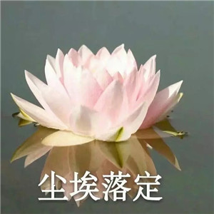 莲花微信头像图片大全