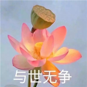 莲花微信头像图片大全