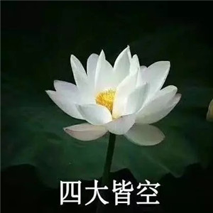 莲花微信头像图片大全