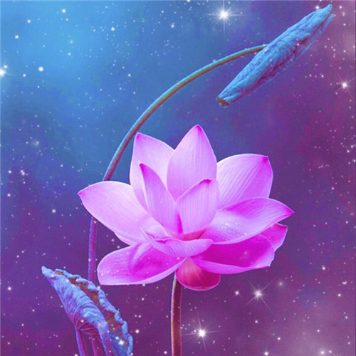 小清新头像植物图片大全