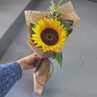 向日葵头像图片清新