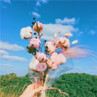 微信头像花朵图片大全