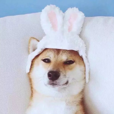 可爱猫咪头像
