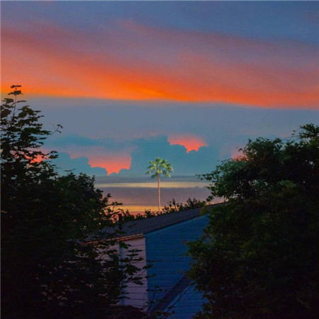 十一月秋天傍晚夕阳风景图片