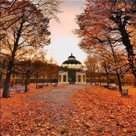 维也纳城市入秋秋天风景图片