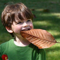 正太头像 萌娃小帅哥QQ头像