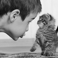 萌宝宝男孩头像大全 QQ头像