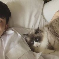 颓废男生微信头像