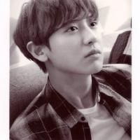 EXO男明星头像