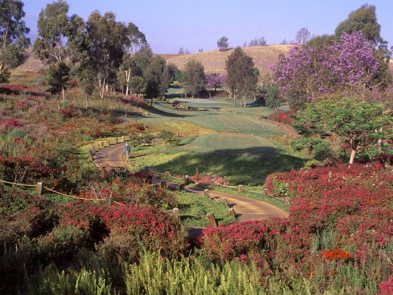 迷人的夏威夷的风景图片