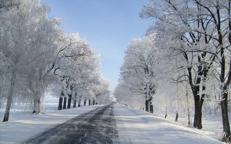 唯美的冬天雪后风景图片