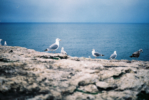 唯美大海海景海滩图片