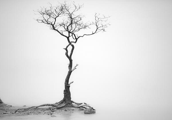 黑白摄影唯美意境风景图片