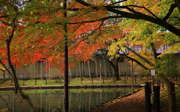秋天湖光山色风景图片
