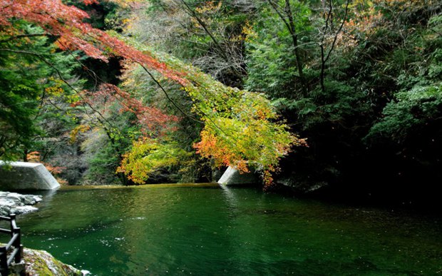 秋天湖光山色风景图片