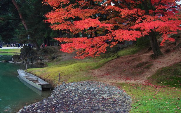 秋天湖光山色风景图片