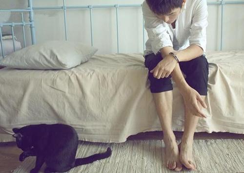 猫咪与人的温暖互动图片